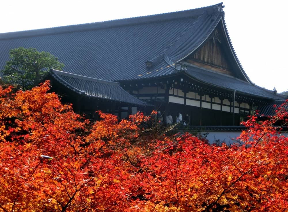 Địa điểm ngắm lá đỏ Kyoto